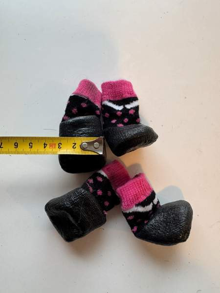 Pienen koiran tossuja Vantaa - valokuva 6