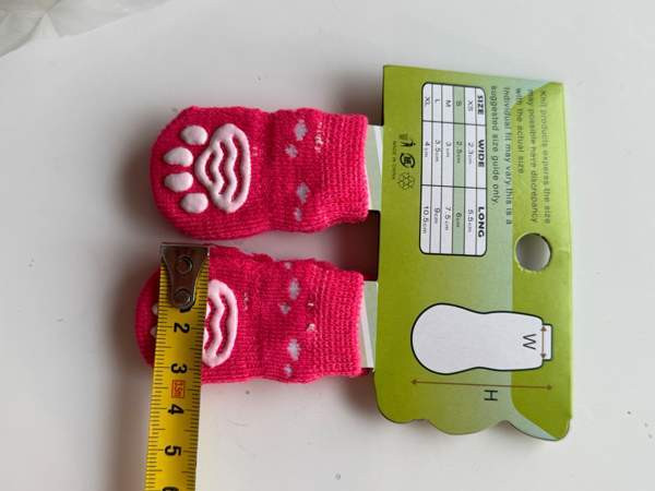 Pienen koiran tossuja Vantaa - valokuva 2