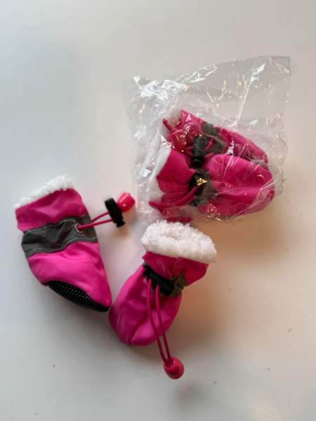 Pienen koiran tossuja Vantaa - valokuva 3