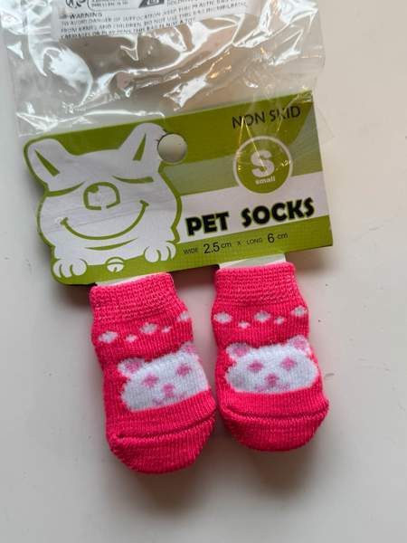 Pienen koiran tossuja Vantaa - valokuva 1