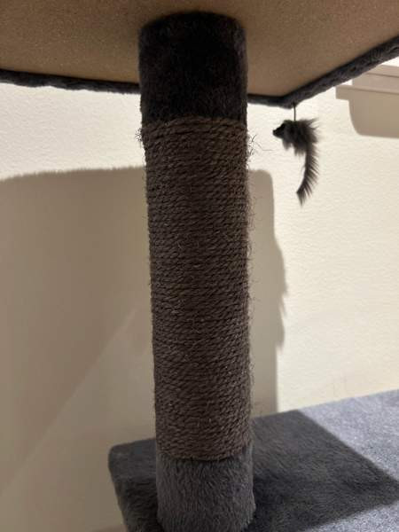 Raapimapuu Porvoo – foto 2