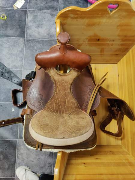 Lännen satula Ylitornio - изображение 2