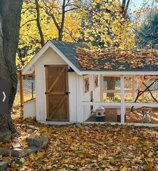 Halutaan ostaa kanalaksi sopiva vajatyyppinen ratkaisu Siilinjaervi - photo 1