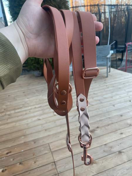 Biothane hihna ja kaulapanta setti Heinola – foto 2