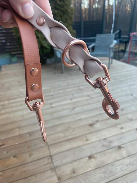 Biothane hihna ja kaulapanta setti Heinola – foto 4