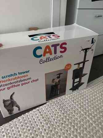 Kissanteline Seinaejoki