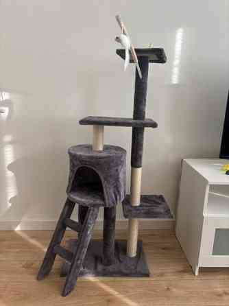 Kissanteline Seinaejoki