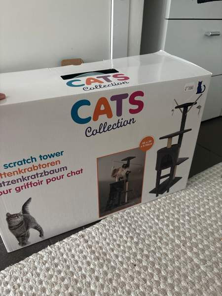 Kissanteline Сейняйоки - изображение 2