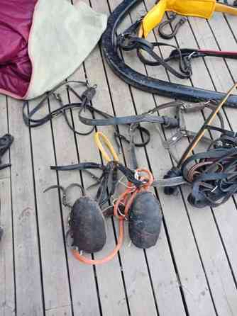 Vanhoja Hevostarvikkeita Kurikka