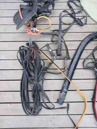 Vanhoja Hevostarvikkeita Kurikka