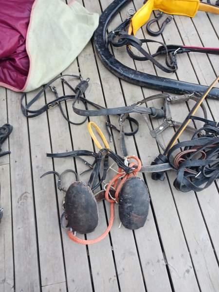 Vanhoja Hevostarvikkeita Kurikka - photo 4