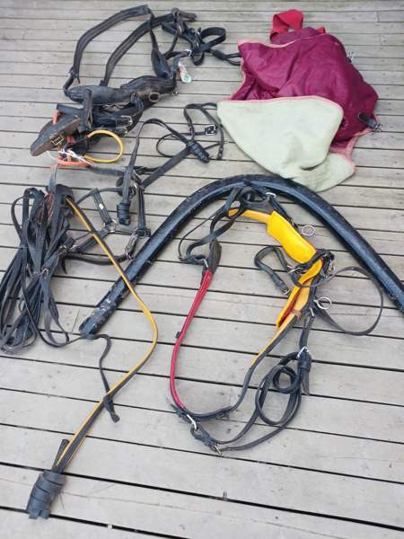 Vanhoja Hevostarvikkeita Kurikka - photo 1