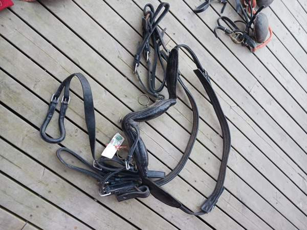 Vanhoja Hevostarvikkeita Kurikka - photo 7