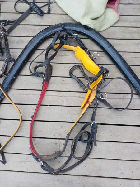 Vanhoja Hevostarvikkeita Kurikka - photo 2