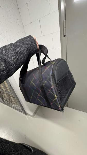 Kantolaukku koiralle/kissalle Helsinki - valokuva 1