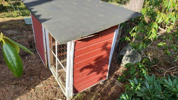 Kaninkoppi Rusko - изображение 4