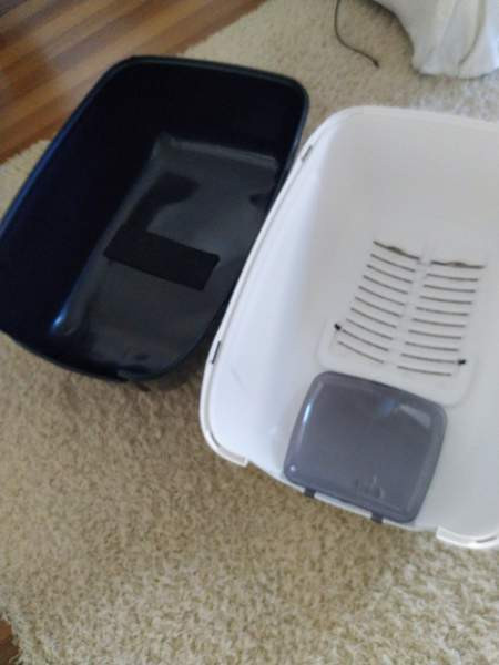 Kissan vessa Hyvinkää - valokuva 2