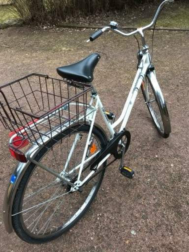 Terässiipi Eura - valokuva 2