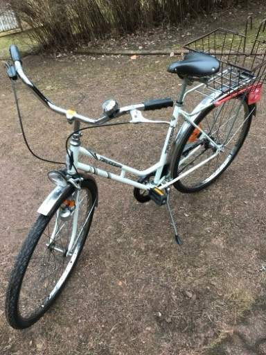 Terässiipi Eura - valokuva 1