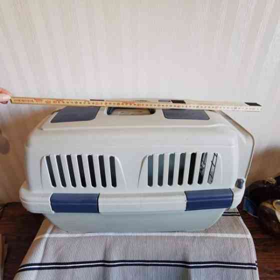 Kantokoppa isolle kissalle Tuusula