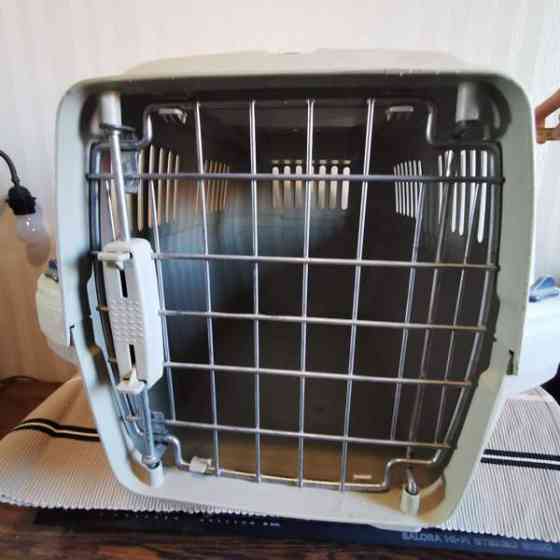 Kantokoppa isolle kissalle Tuusula