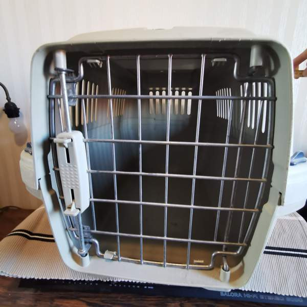 Kantokoppa isolle kissalle Tuusula - valokuva 1