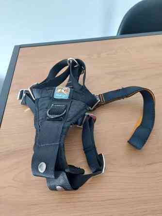 Koiran turvavyö Mikkeli