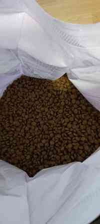 Koiranruoka avattu, jäljellä 7kg Oulu