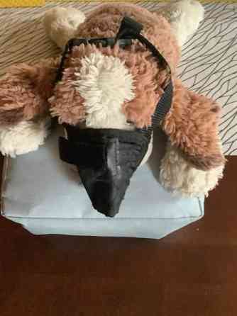 Pehmyt kuonokoppa pikkukoiralle, uudet tossut M koko uudet. Oulu