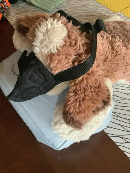 Pehmyt kuonokoppa pikkukoiralle, uudet tossut M koko uudet. Oulu – foto 2