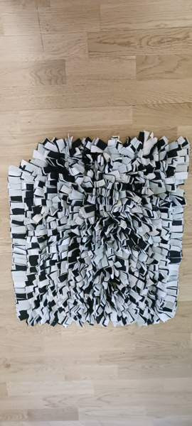 VARATTU Koiran haistelumatto Oulu - valokuva 1