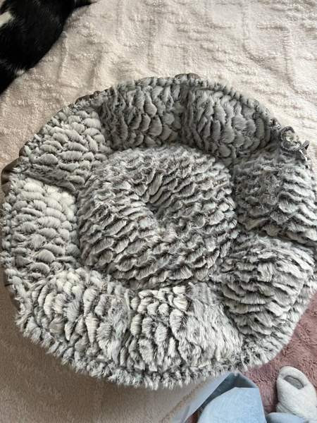 Kissan peti Lahti – foto 3