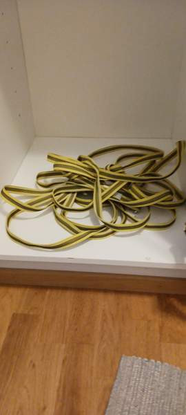 10m koiran lieka Oulu - valokuva 1