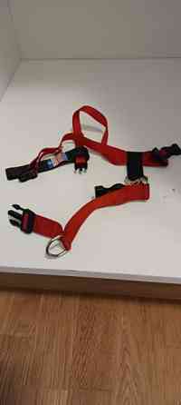 Koiran tarvikkeet 0,5-3€/kpl Oulu