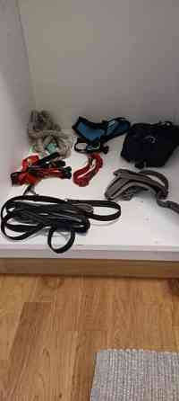 Koiran tarvikkeet 0,5-3€/kpl Oulu