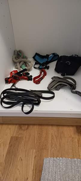 Koiran tarvikkeet 0,5-3€/kpl Оулу - изображение 1