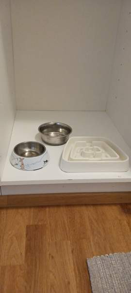 Koiran kuppeja (1 muumikulho) Oulu – foto 1