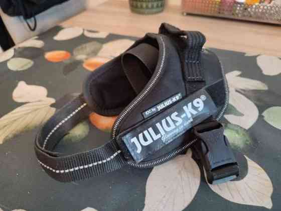 Julius-K9 valjaat koko mini Pirkkala