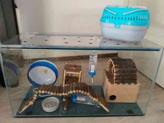 Terraario kaikilla tarvikkeilla Espoo