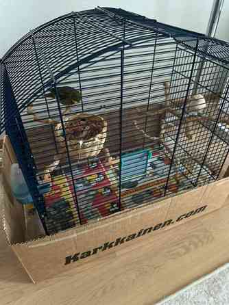 Isokokoinen häkki myynnissä! Vaasa