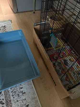 Isokokoinen häkki myynnissä! Vaasa