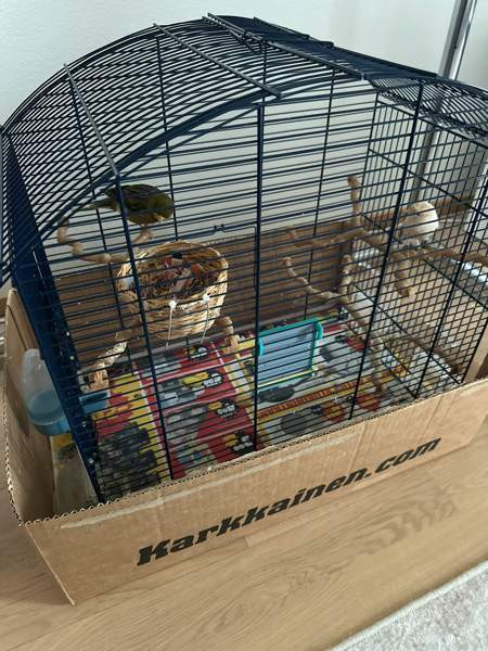 Isokokoinen häkki myynnissä! Vaasa - valokuva 1