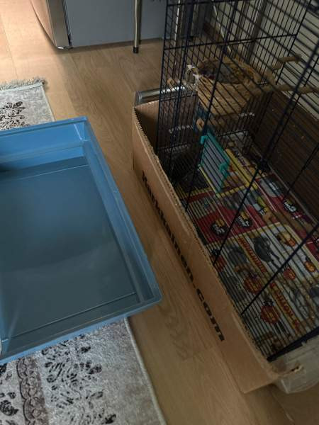 Isokokoinen häkki myynnissä! Vaasa - valokuva 2