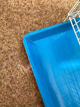 Pienikokoinen häkki myynnissä! Vaasa