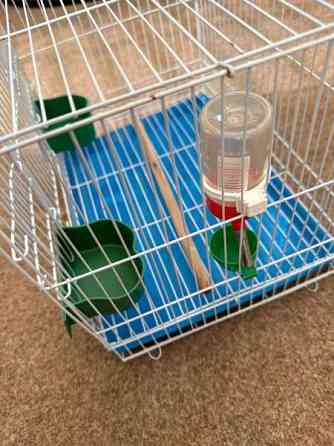 Pienikokoinen häkki myynnissä! Vaasa