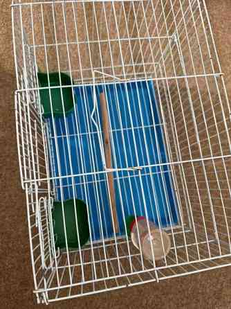 Pienikokoinen häkki myynnissä! Vaasa