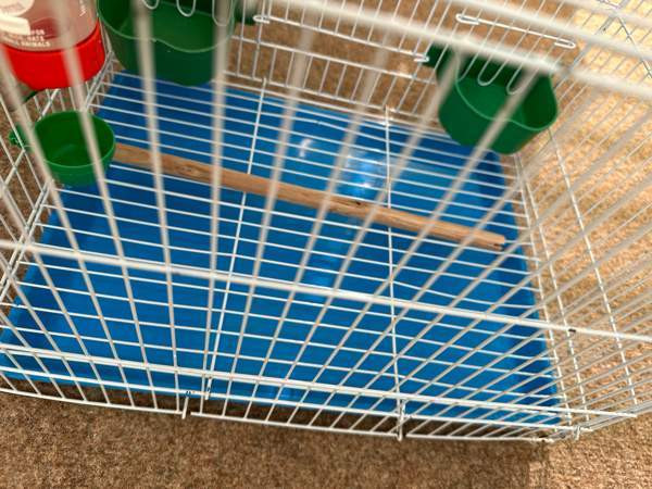 Pienikokoinen häkki myynnissä! Vaasa - photo 5