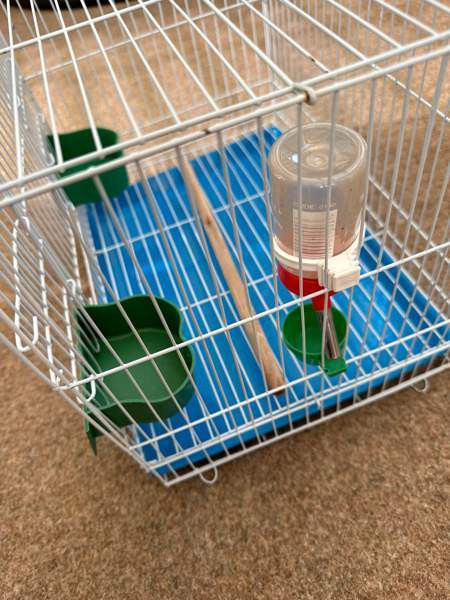 Pienikokoinen häkki myynnissä! Vaasa - photo 2