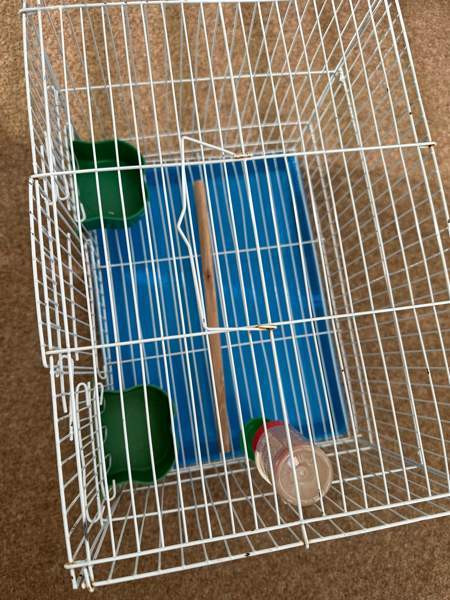 Pienikokoinen häkki myynnissä! Vaasa - photo 3