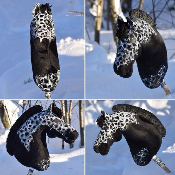 Kirjava keppari Savonlinna – foto 1